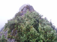 ��O�ɛ����I