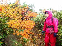 稜線部の紅葉は今が見ごろ 稜線部の紅葉は今が見ごろ