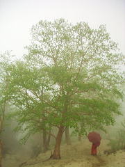 �_�P�J���o�̎�t���݂��݂�����