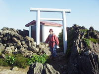 �L���R�����̉��ł�