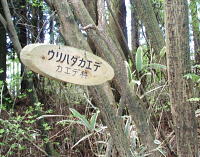 ���炪�ΐF���ۂ��E���n�_�J�G�f