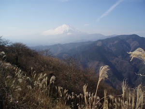 No.235「大野山」へ No.235「大野山」へ