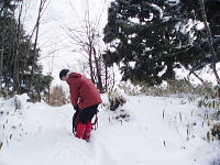 �c�O�I�����őދp