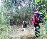 �V��R�̎O�p�_141.30m�i����B�e�j