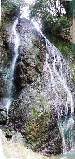 雨後で水量がありました(H24/03/04) 雨後で水量がありました(H24/03/04)