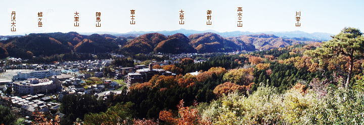 ���������ɔ���̕x�m�R�E�E�E�����邩�Ȃ��H