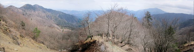 �V���������̏㕔����̓W�]