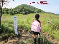 �O���͑呠����