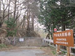 NTT�̃Q�[�g�O�F�w���W�͖���
