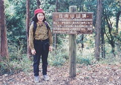 樹林に囲まれた静かな山頂 樹林に囲まれた静かな山頂