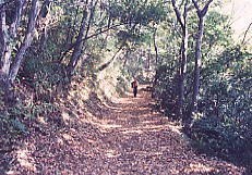 静かな峠歩き 静かな峠歩き