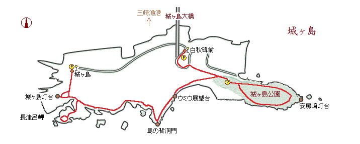�郖���̗��}