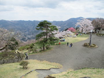 展望台から美の山公園