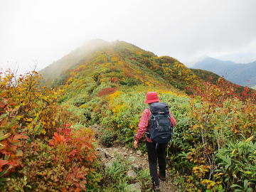 紅葉の山稜