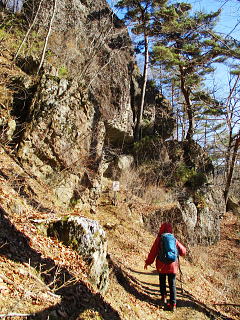 ���������Ȕ��͂ł��I