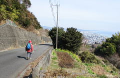 前方に小田原市街・右手はミカン畑
