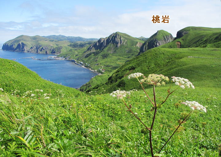 �L���o�C�̒J�`�c�o���R�ŎB�e
