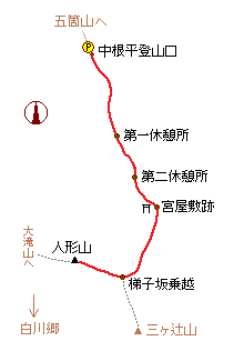 �l�`�R�̗��}