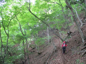 高柄山～御前山の山稜にて