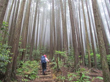 越ヶ滝から岩涌山三合目へ