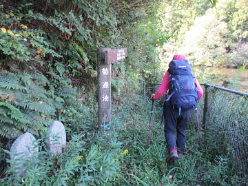 しっとりとした静かな池でした
