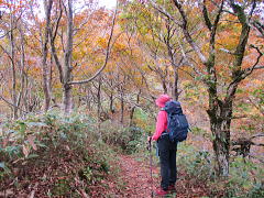 兜山と男三瓶山の鞍部にて