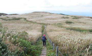 西の原へ向かう