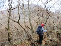 樹林の隙間から韓国岳を望む