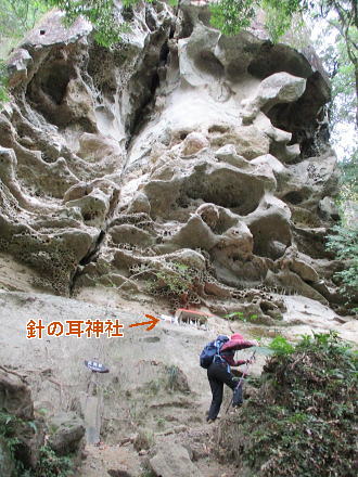 小さく見える針の耳神社