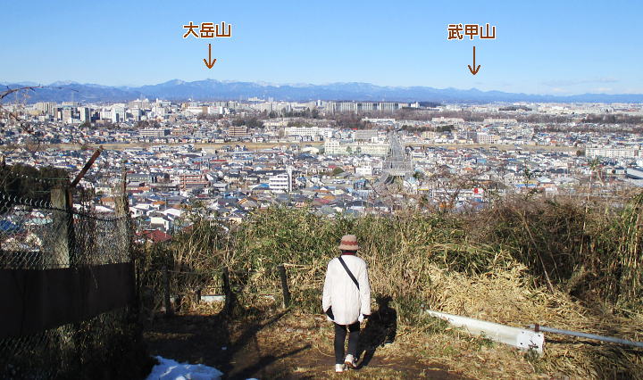 奥多摩や奥武蔵の山々がくっきりと見える