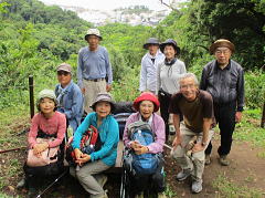 No.475�u�匳�R������R�v��