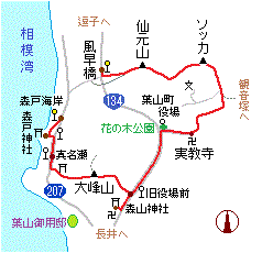 �匳�R�`���R�̗��}