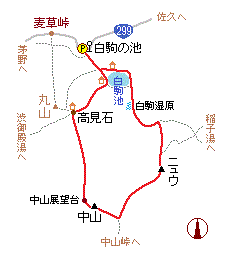「ニュウ～中山」の略図