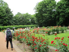 北海道大学植物園