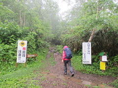左に「クマ出没･注意！」の看板