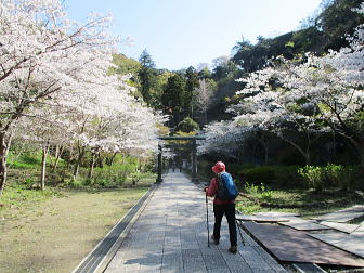 建長寺の拝観料500円は通行税みたいなもの