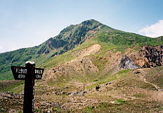 川上登山口からの分岐:やっと山頂部が見えてきた 川上登山口からの分岐:やっと山頂部が見えてきた