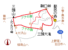 �O���R�̗��}