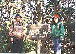 植林に囲まれた狭い山頂 植林に囲まれた狭い山頂