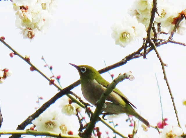 �r��~���̃��W��