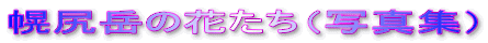 �y�K�x�̉Ԃ����i�ʐ^�W�j
