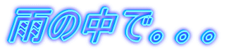 �J�̒��ŁB�B�B