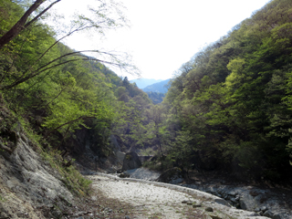 滝道川渓谷