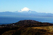 大楠山山頂から富士山を望む