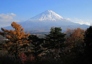 眼前の、大きな富士山です