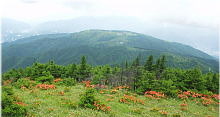 鉢伏山から眺めた高ボッチ山