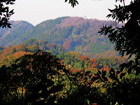 森戸川南稜から垣間見た二子山です。
