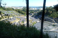 歩き始めた山中にて 歩き始めた山中にて