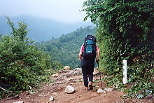 湯沢峰を通過：きつい登りが続く