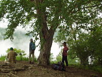 ダケカンバの老木が印象的だった